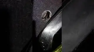 Запотевание стекл на Chevrolet Lacetti . Установка Вентиляционных решеток.
