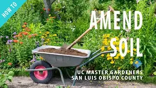 How to Amend Soil