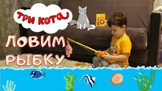 Где спрятались три кота ??? Как Даня нашел Коржика, Карамельку и Компота. (^=◕ᴥ◕=^)