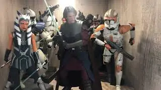 Hot Toys Star Wars 1/6th scale figures.