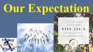 Our Expectation