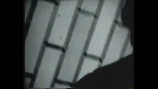 Зелёный слоник:В ЯМУ