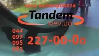 Как  взять велосипед на прокат