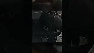 #беззубик