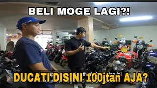 GREBEK SHOWROOM MOGE MEWAH DI PLUIT‼️ ISINYA MENYALA BOSSCU❗️ #moge