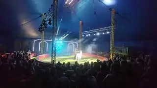 2024 m. rugpjūčio 4 d.