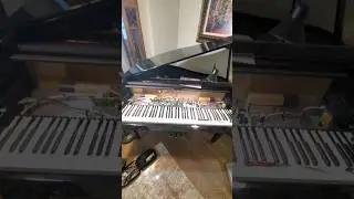 Yamaha Piano Repair CLP-665 