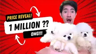 1 MILLION INVESTMENT FOR  2023