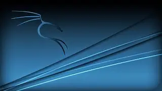 Как установить образ kali Linux | kali Linux