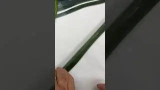 Safety First! A Glass Safety Tip Pros Know!