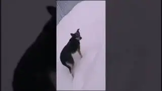 Ну чо очкошник 