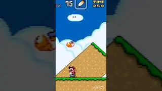 tartaruga gorda