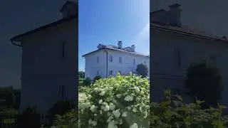 Входоерусолимская церковь! #nature #garden #beach #cat #motivation #церковь