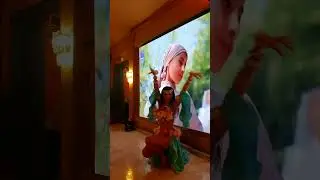 #bellydance #танецживотаспб заказ шоу 8-981-168-58-57