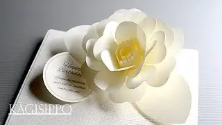 pop-up card__Camellia