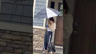 It’s raining cats and dog poo 💩