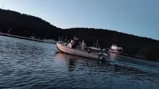 Hauling logs at sunset