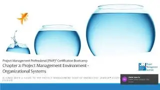 Chapter 2 Project Management Environment, Organizational Systems
