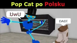 Pop Cat Roblox po Polsku