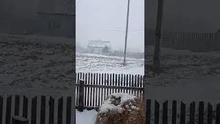 Весенняя вьюга...