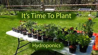 Hydroponics Garden Preparation -It's Grow Season and Time To Plant  - May 2020