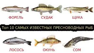 #Пресноводные