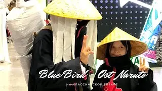 Blue Bird - OST Naruto Shippuden на гитаре + табы для начинающих