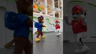 Patrulha canina #pawpatrol