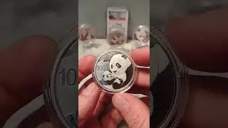 2019 silver panda