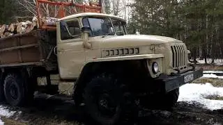 Первый рейс на УРАЛЕ в делянку.