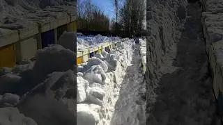Первый,очистительный облет пчел.