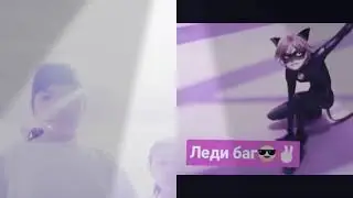 леди баг и супер кот я вас люблю