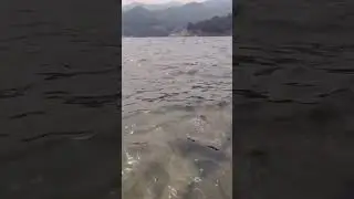 Dham Dam
