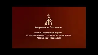 Профессор Владимир Николаевич Катасонов: 