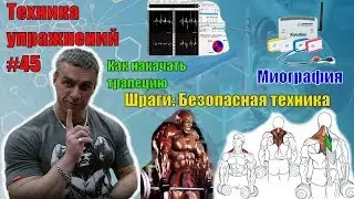 Как накачать трапециевидную мышцу. Шраги. Безопасная техника. Миография. Техника 45