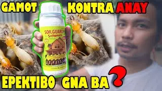 Gamot Kontra ANAY effective nga ba? (SOLIGNUM SOILGUARD)