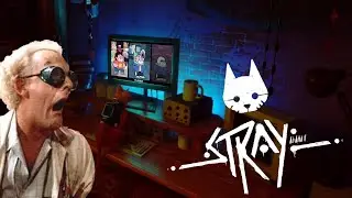 Stray: The Most HORRIFYING Cat Game EVER