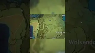 Chest That You Might Have Missed [GENSHIN IMPACT]