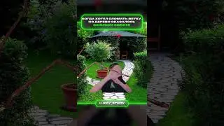 Ветка | меллстрой