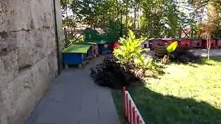Дома для бездомных кошек в Турции