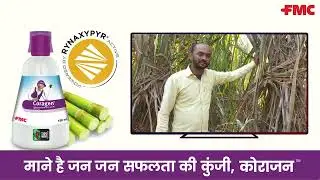 Coragen® Insecticide for Sugarcane | UP Farmers | FMC India 
