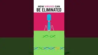 How Viruses Can Be Eliminated!