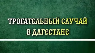 Трогательный случай в Дагестане