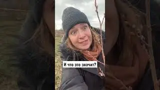 😱ЗИМЫ НЕ БУДЕТ? 