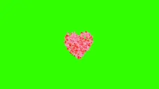 love particles green screen Rose // Rose Blast Particle Effect // Rose green screen video tamplate