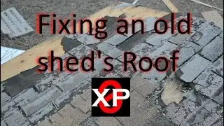 Replace an old Shed's Roof