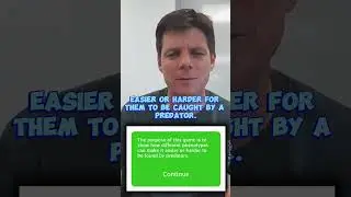 Mouse Hunter Simulation