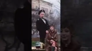 Штиль, чайка моя! 