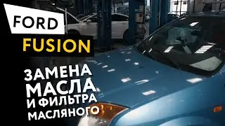 Changing the oil and oil filter (oil service) in a Ford Fusion 1.6 engine
