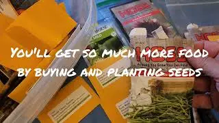 Starting a Garden: The High Cost of Seedlings.